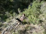 P1040179_redimensionar_JPG.jpg