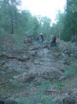 DSCN4306comprimida.JPG
