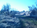DSC01658.JPG
