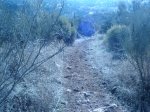 DSC01663.JPG
