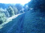 DSC01666.JPG
