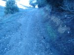 DSC01677.JPG