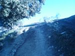 DSC01681.JPG