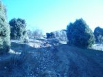 DSC01687.JPG