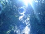 DSC01690.JPG