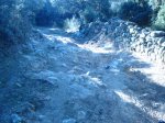DSC01691.JPG