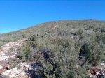Imagen023.jpg
