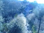 DSC01708.JPG
