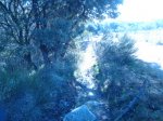 DSC01710.JPG