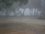 afotos 028.jpg
