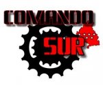 Logo Comando Sur (WinCE).jpg