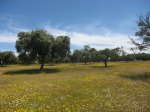 IMG_3010.JPG