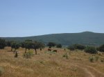 IMG_3146.JPG