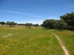 IMG_3148.JPG