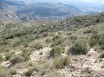 IMG_0097.JPG