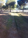 22012008196tn_.jpg