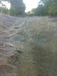 22012008201tn_.jpg