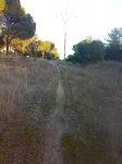 22012008202tn_.jpg