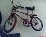 DSC00274.JPG