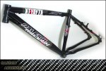 raleigh 240.jpg