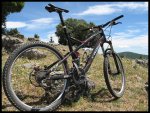 2_stumpjumper[1].jpg