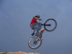 CONDOR (Small).JPG