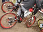 DSC01656.jpg