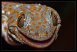 IMG_1745.jpg