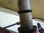 DSC01260.jpg