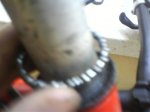 DSC01261.jpg