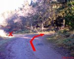 DSC00242.JPG