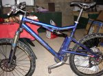 DSC01661.JPG