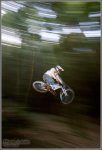 2bikebionicon.jpg