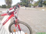 DSC00156.JPG