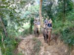 Thailand_0351-Chiang_Mai_elefantes.jpg