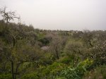 P0000526_resize.JPG