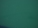 DSCN3741 [DVD (NTSC)].JPG