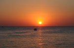 DSC01666.jpg