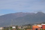P0000091_resize.JPG