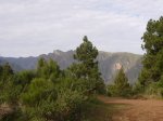 P0000106_resize.JPG