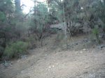 P0000165_resize.JPG