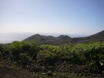 P0000313_resize.JPG