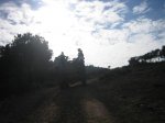 IMG_1217.jpg