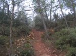 PICT0030 (Small).JPG