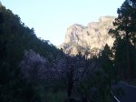 P0000382_resize.JPG