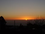 P0000396_resize.JPG