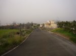 P0000512_resize.JPG