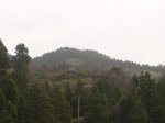 P0000529_resize.JPG