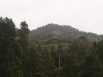 P0000530_resize.JPG
