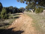 DSC01750.JPG